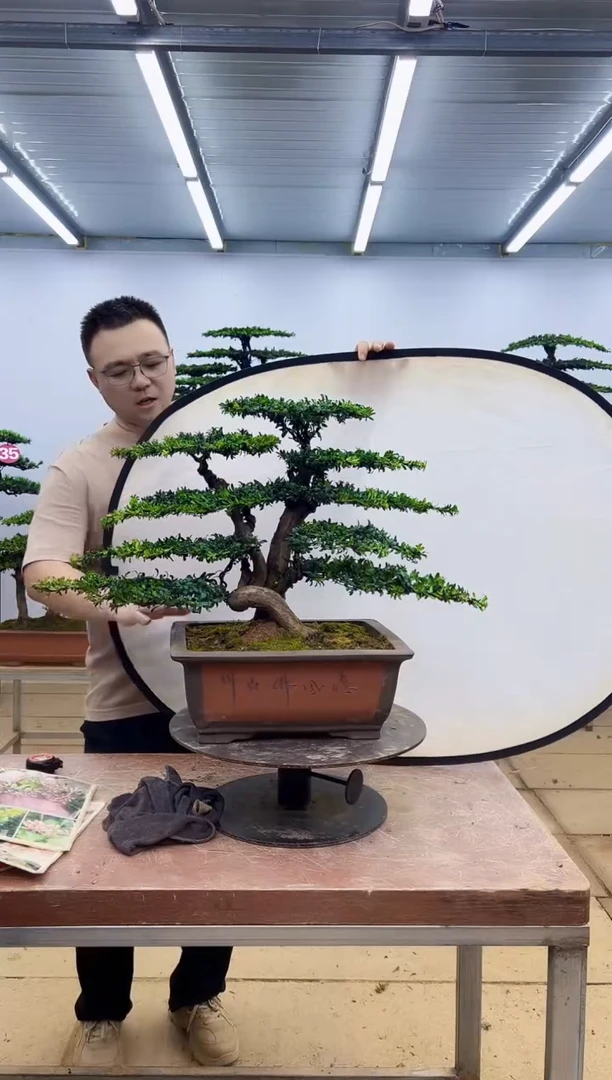 无花朵一物一拍，所见即所得