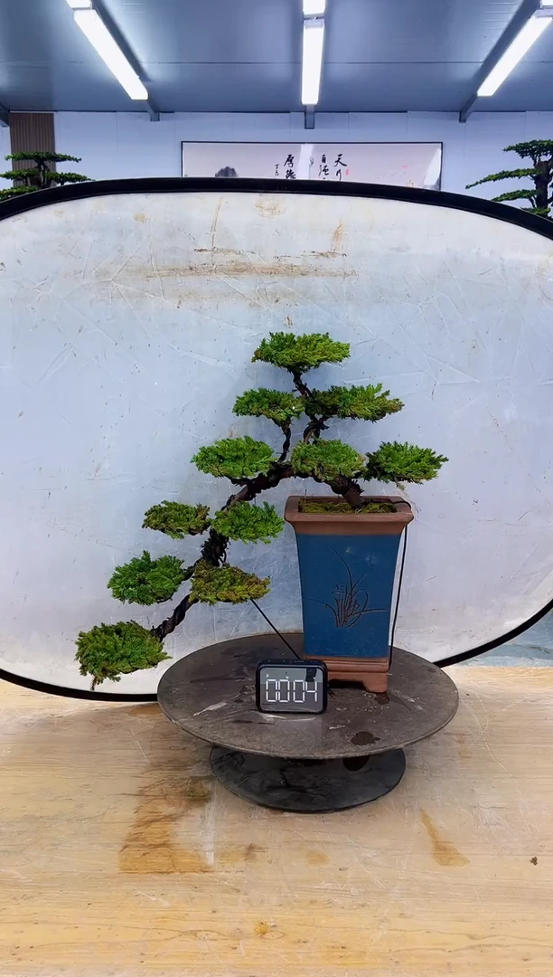 以实际为准0000000