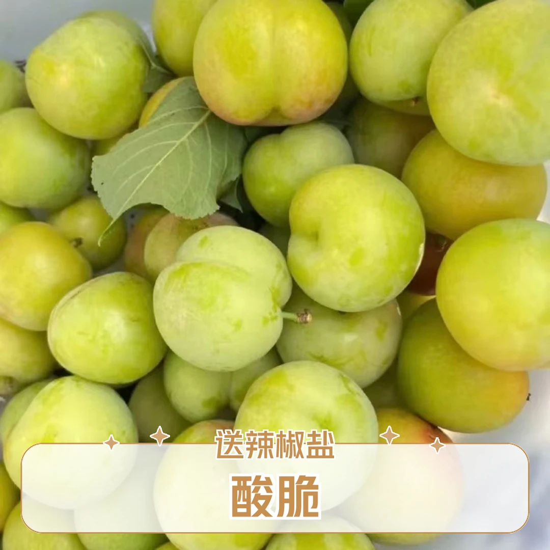 （清园价）酸脆三月李信宜钱排新鲜三月李小青李孕妇酸李应季水果子