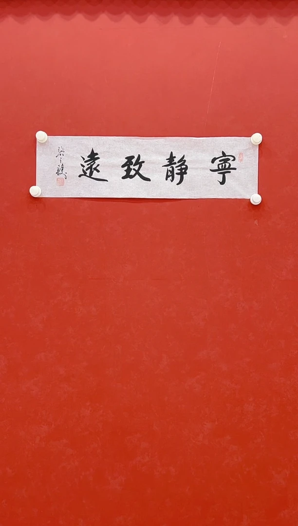 【闪购商品】书法张之铸      书法 1平尺 
