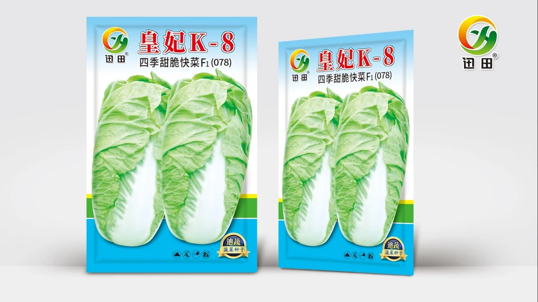 皇妃四季甜脆快菜四季高产大白菜种子早熟晚熟适合阳台庭院种植