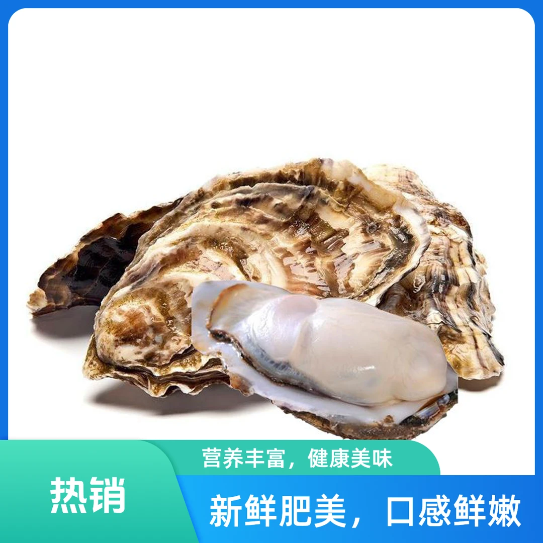 生蚝 5个/1份 两斤以上