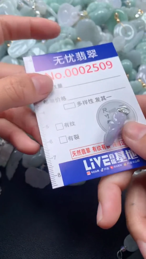 颈饰未镶嵌翡翠2509