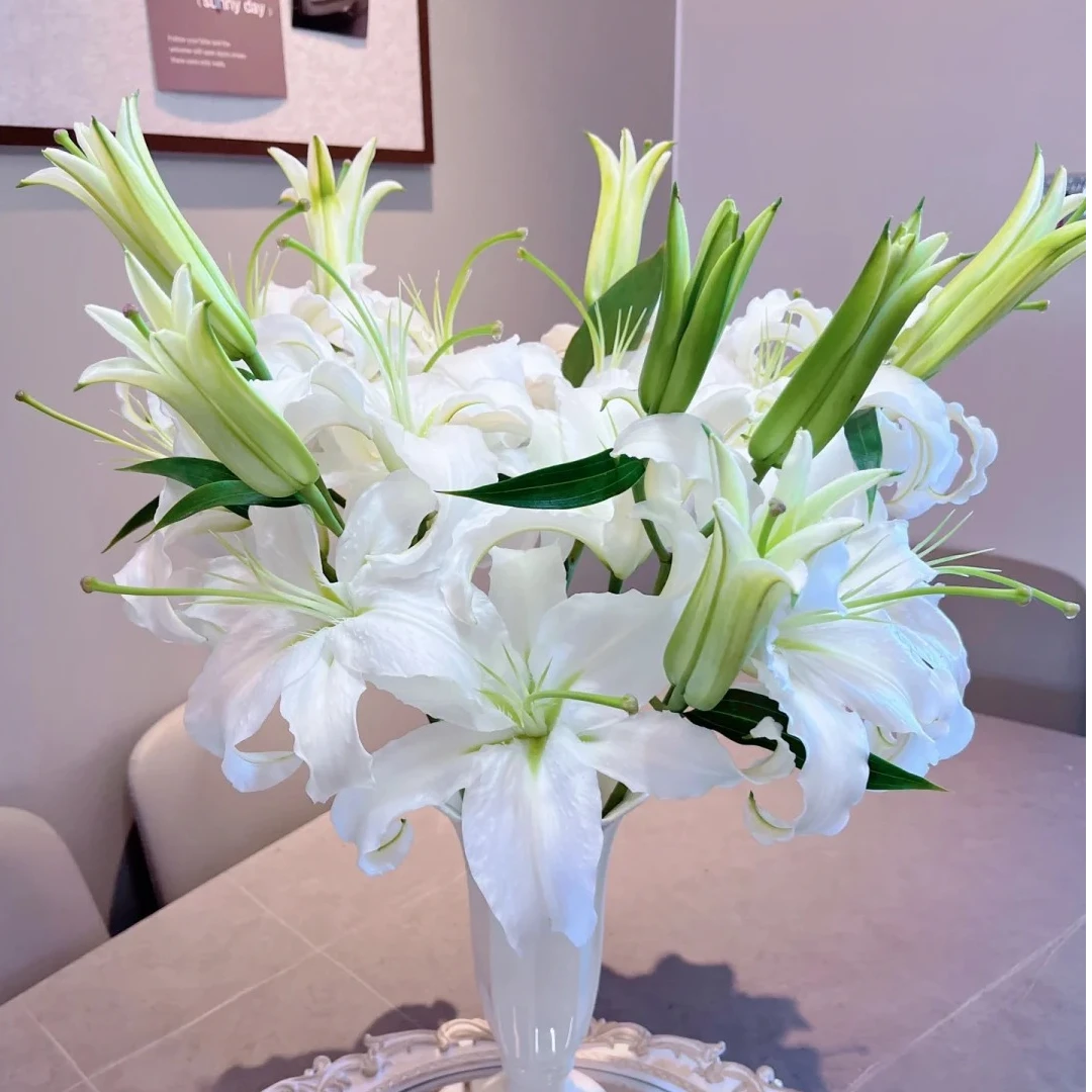 【西伯利亚百合】淡香型香水百合卧室客厅插花水养云南鲜花基地直发
