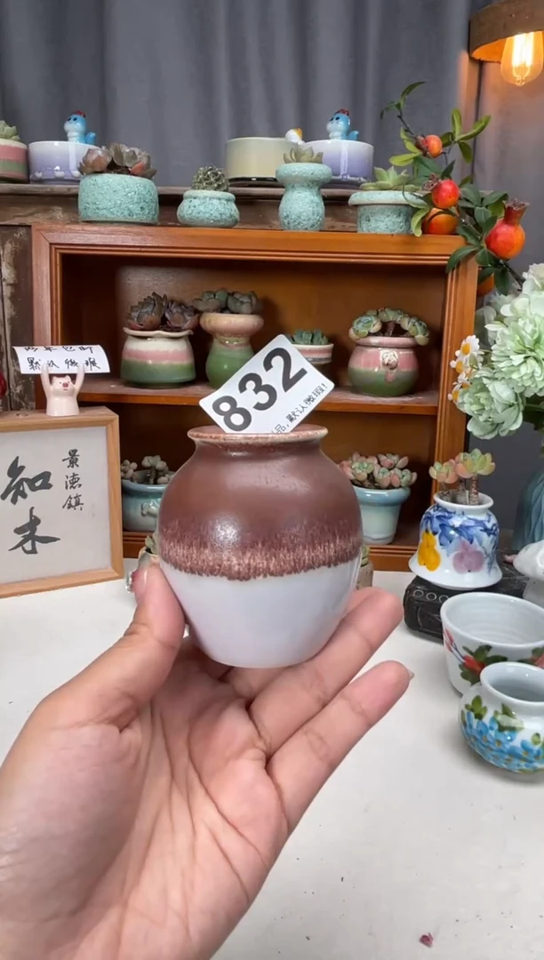 瓷片832知木小芳花盆编号