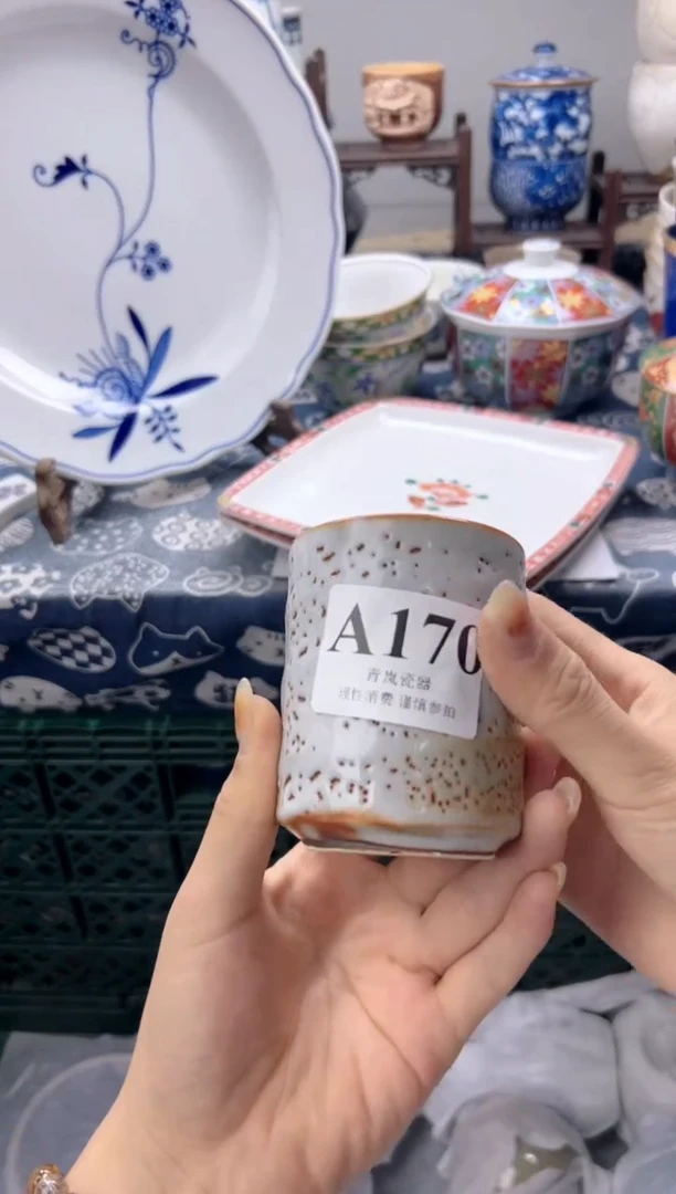 瓷片堆***猫  A170