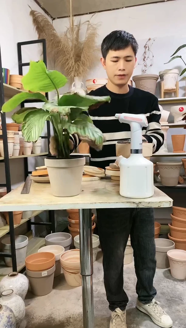 【闪购商品】红陶15*14灰陶 1盆无托