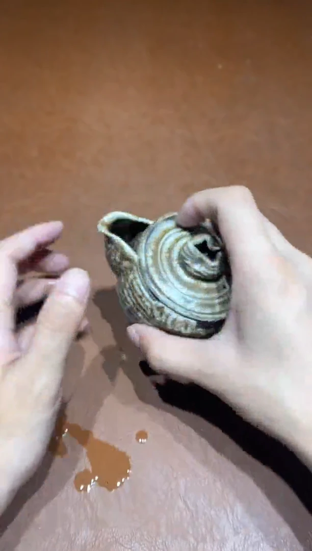 奢瓷/瑞寅柴烧茶器（壶）633