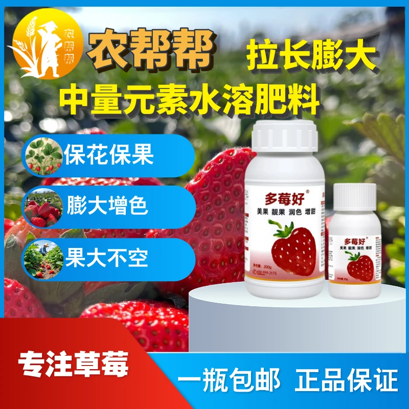 【农帮帮】 草莓拉长膨大素草莓专用靓果美果膨大剂增产剂膨大素