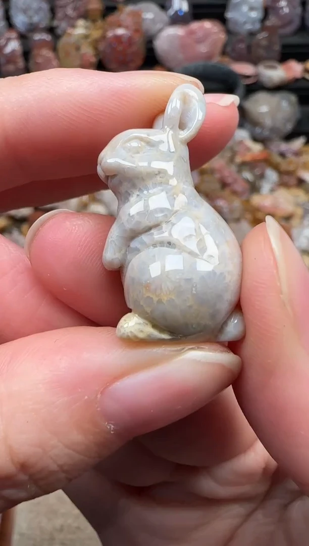 颈饰未镶嵌硅化珊瑚（珊瑚玉）280