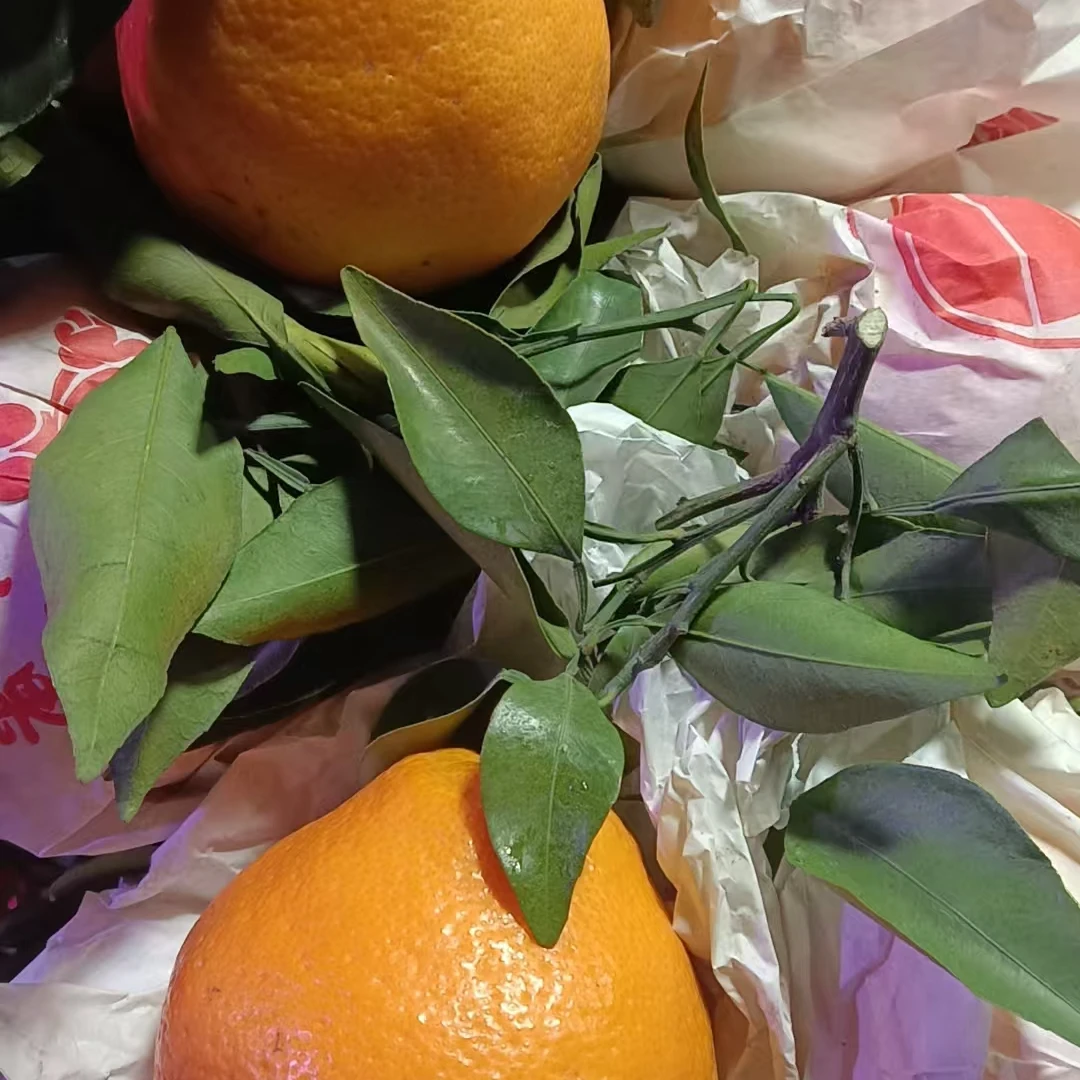 四川耙耙柑0.9-1.1斤/份耙耙柑四川省四川省成都市