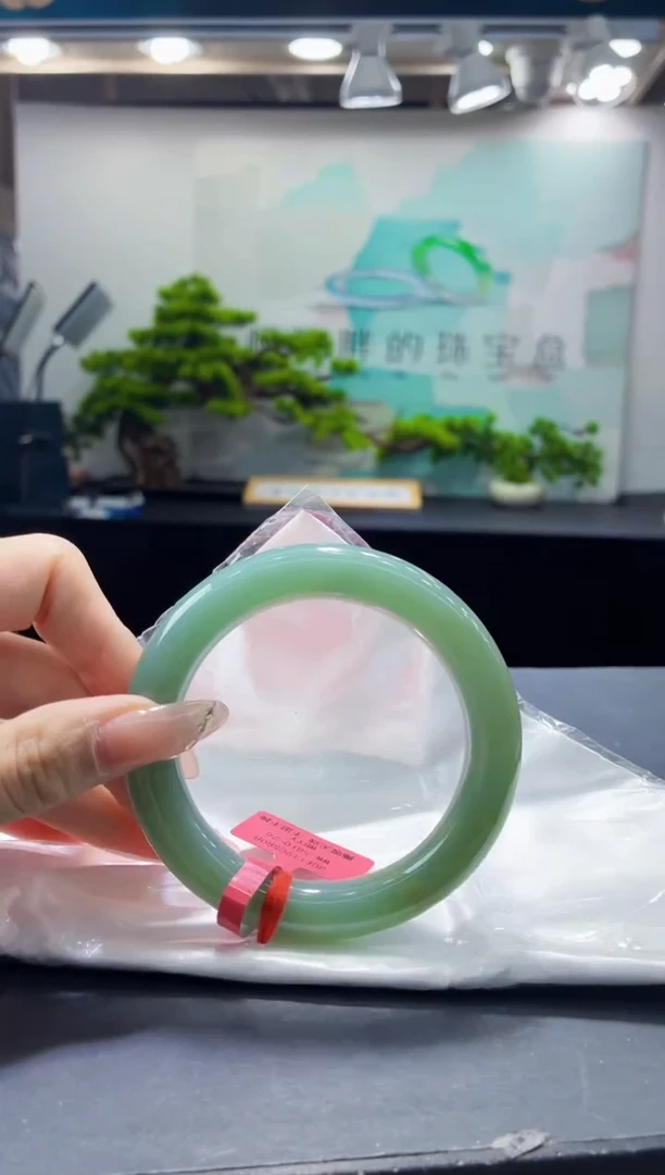 未镶嵌手镯翡翠6