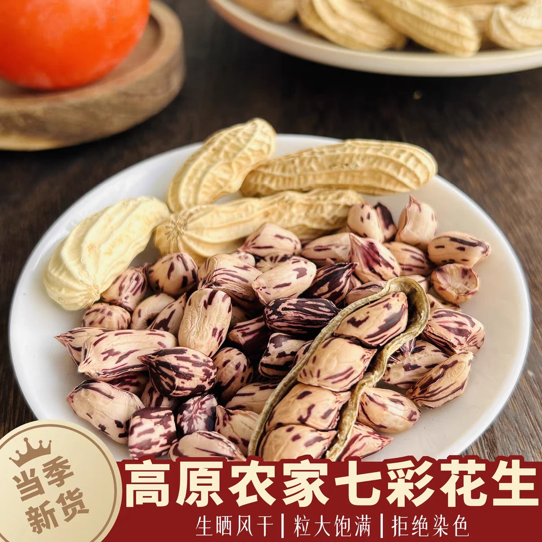 2025年新货七彩生花生500g原味云南农家自种七彩花生带壳晒干零食