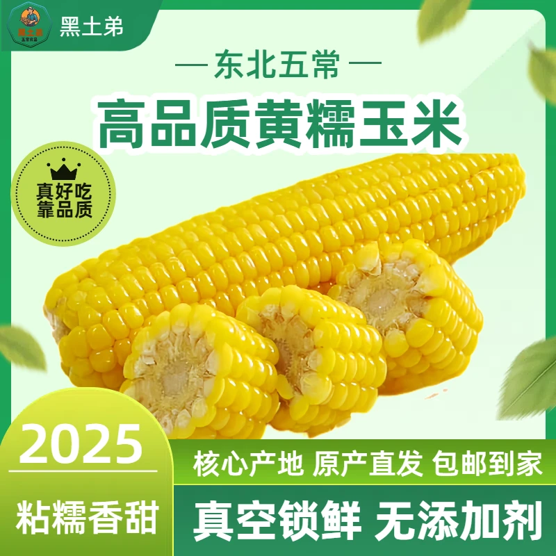 试吃两支【25年头茬大棒】特大东北黄糯玉米棒300-380克10只鲜食