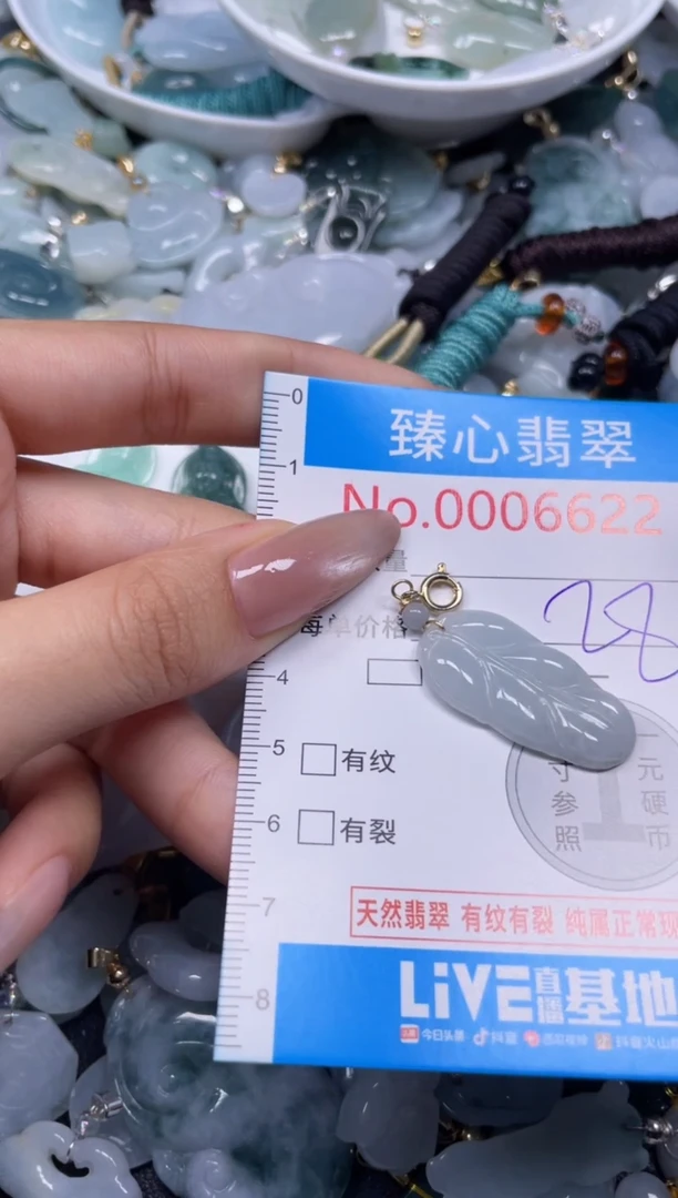 颈饰未镶嵌翡翠6622