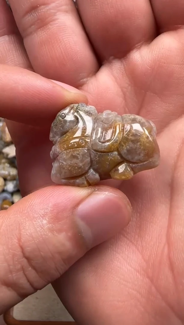 【闪购商品】硅化珊瑚（珊瑚玉）颈饰未镶嵌580