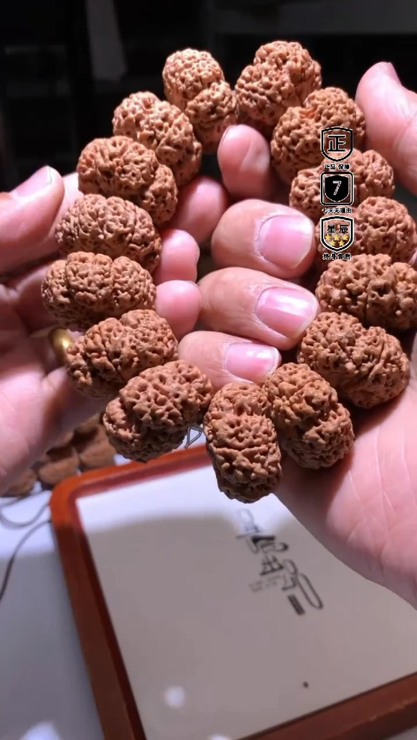 金刚菩提手串044