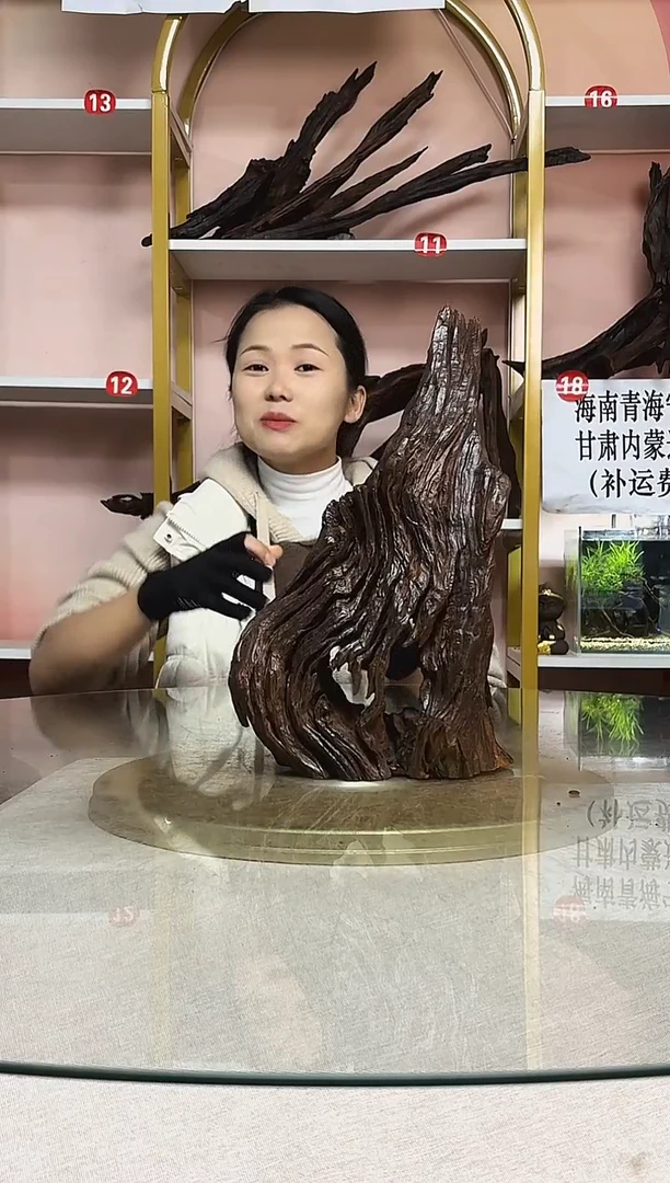 T****.鱼缸造景沉木A003