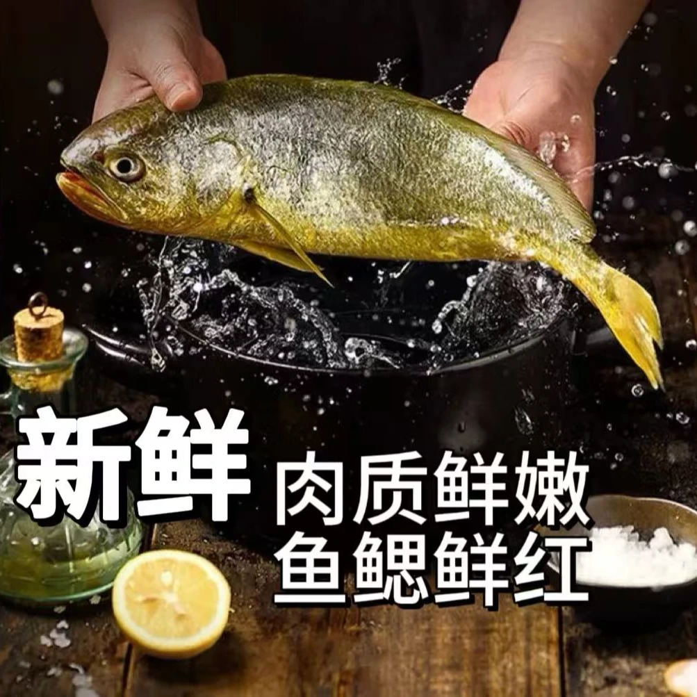【丈母娘专属】 新鲜上岸精选大黄花鱼 深海捕捞 每条450g