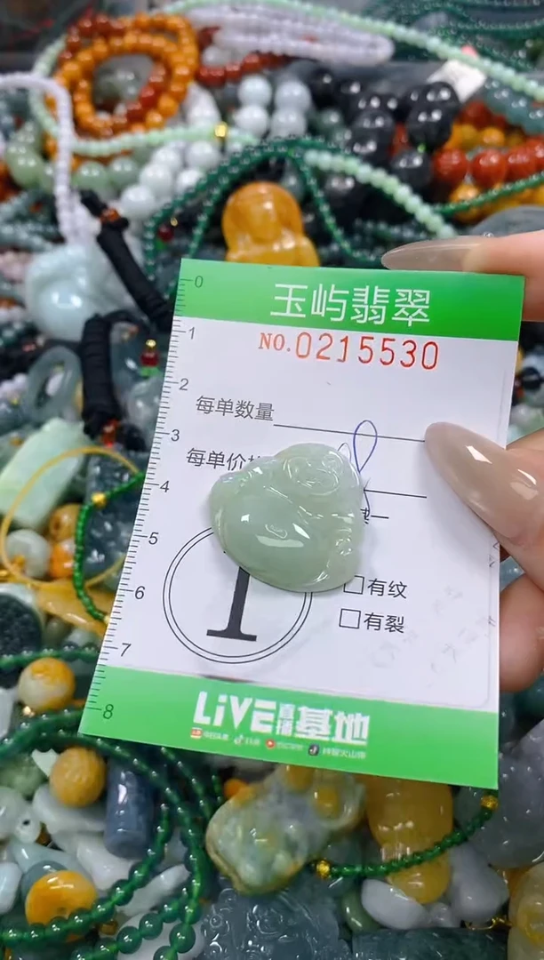 颈饰未镶嵌翡翠闪购0215530