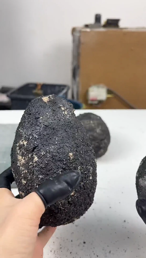 吊坠菩提根/象牙果往**风菩提果菩提果菩提果