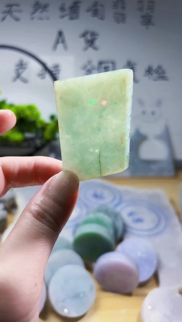 颈饰未镶嵌翡翠翡翠A货 丹686
