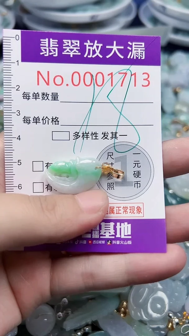 颈饰未镶嵌翡翠1713