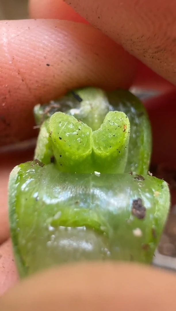 【闪购商品】2/4-141