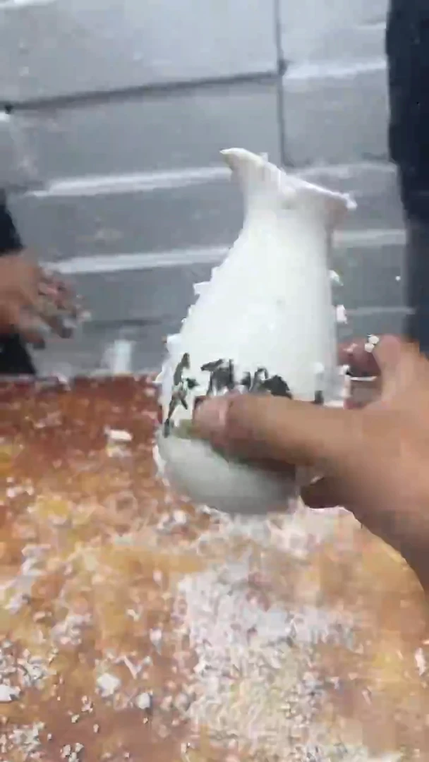 瓷片其他其他其他其他