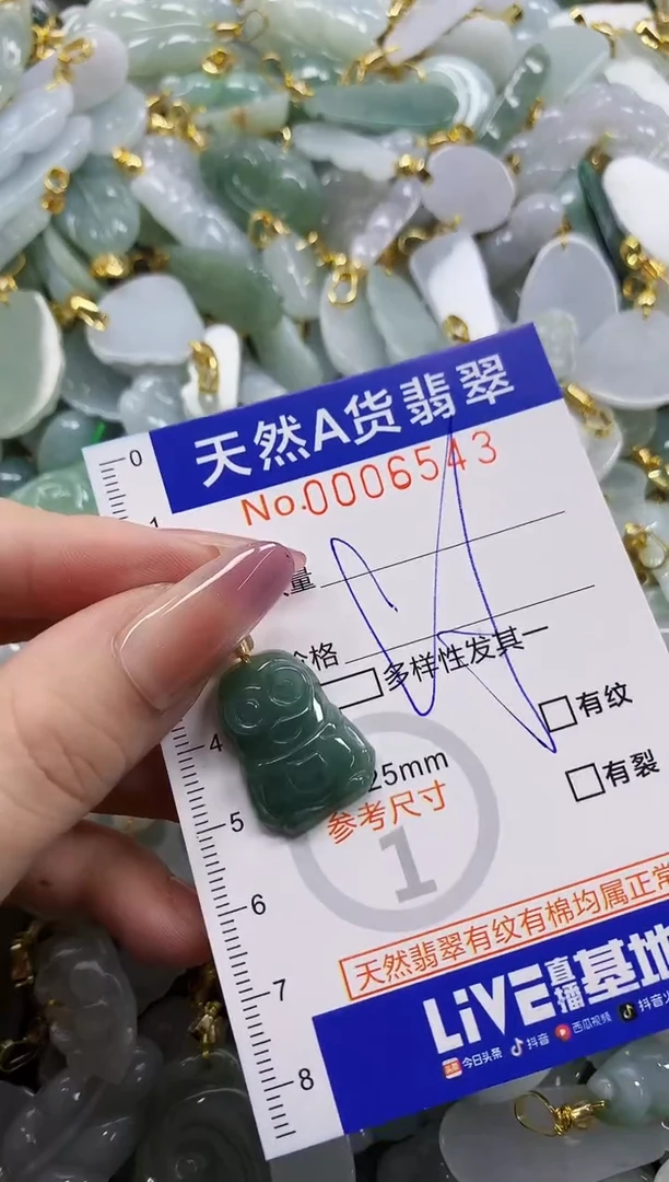 颈饰未镶嵌翡翠天然A货翡翠