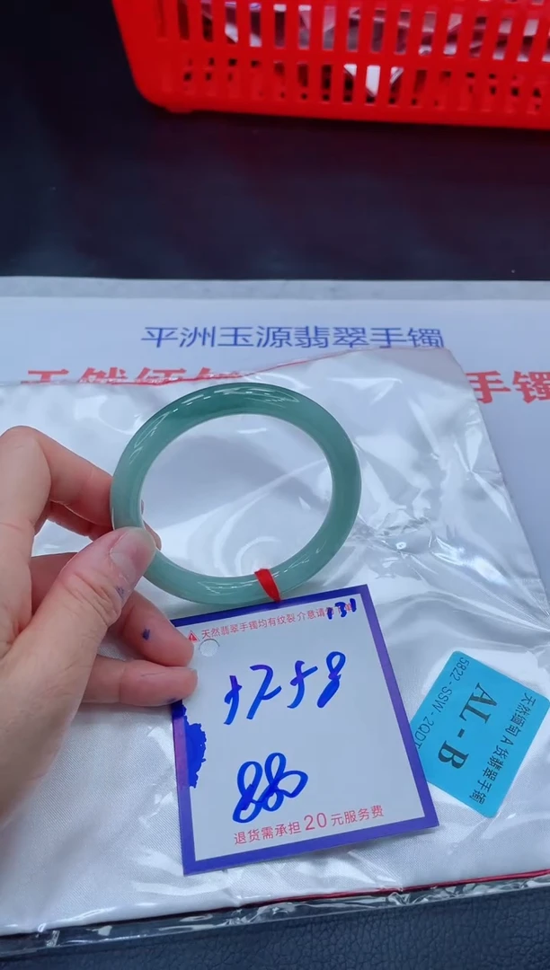 未镶嵌手镯翡翠11111111