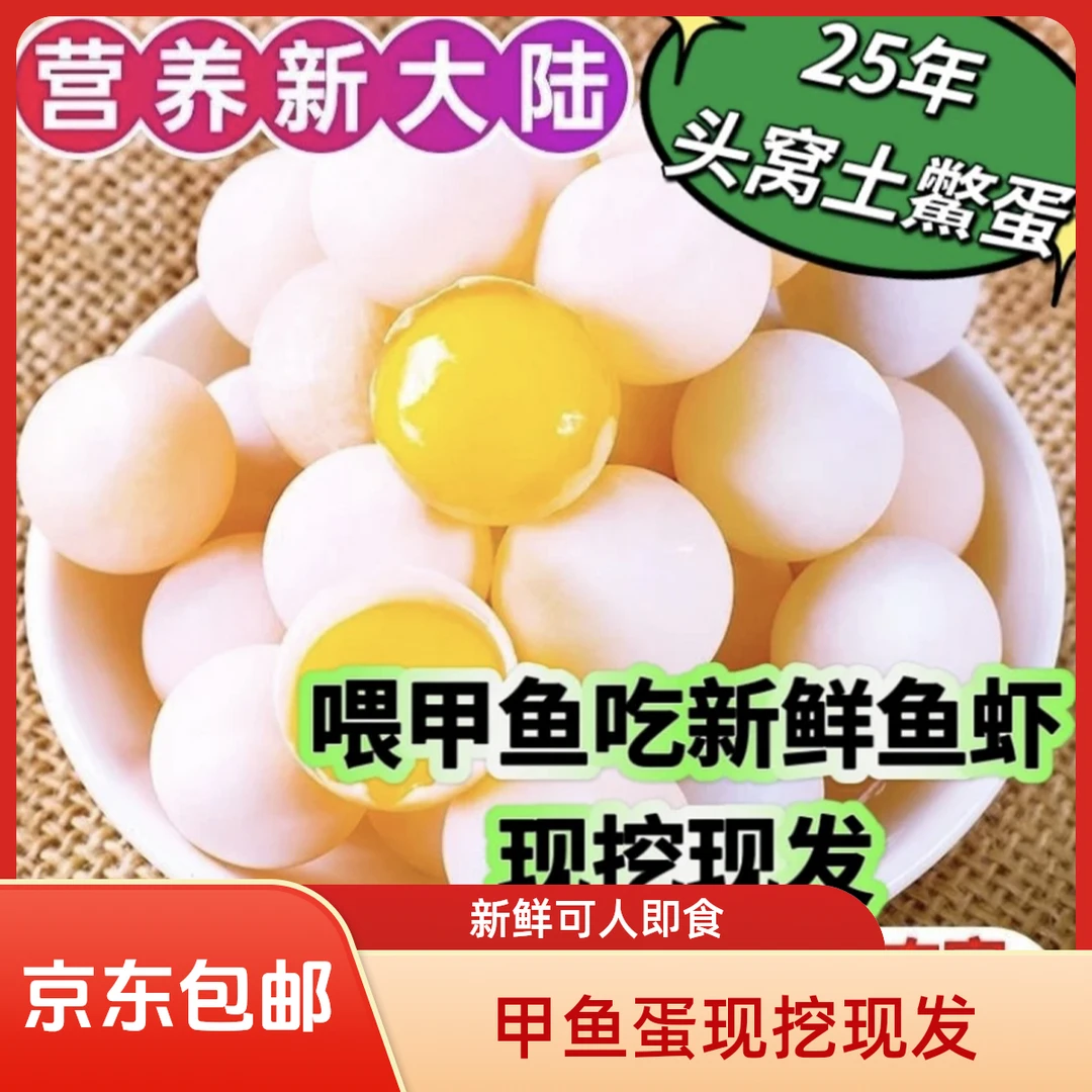 【阿海专属】新鲜甲鱼蛋100枚送20枚防破损 到手120枚农家 现挖现发