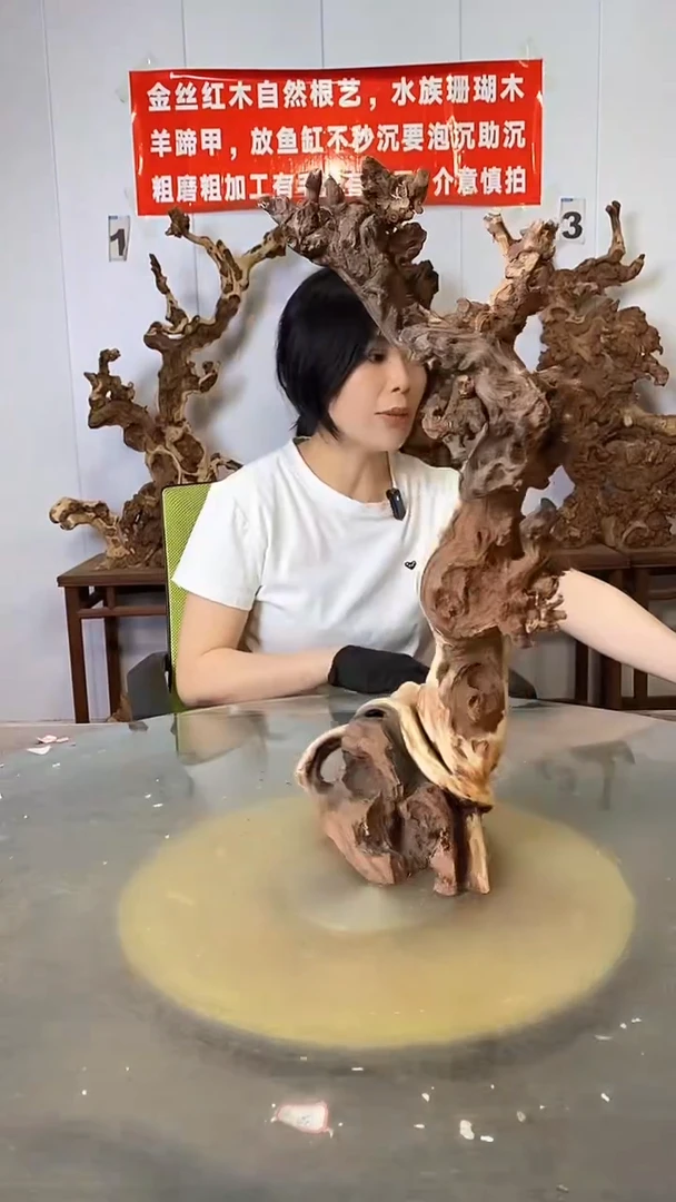 香榧木金丝红木  羊蹄甲