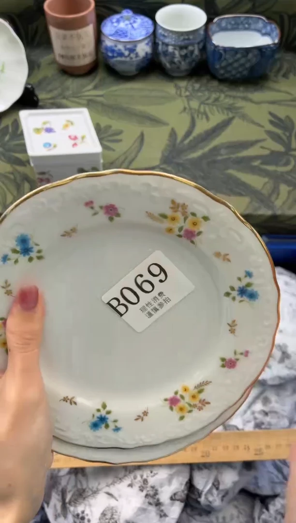 瓷片仪****）       B069