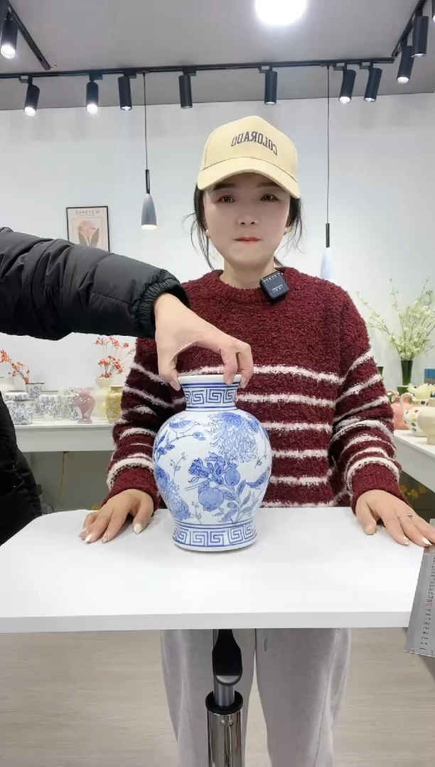 【闪购商品】陶瓷景德镇B款