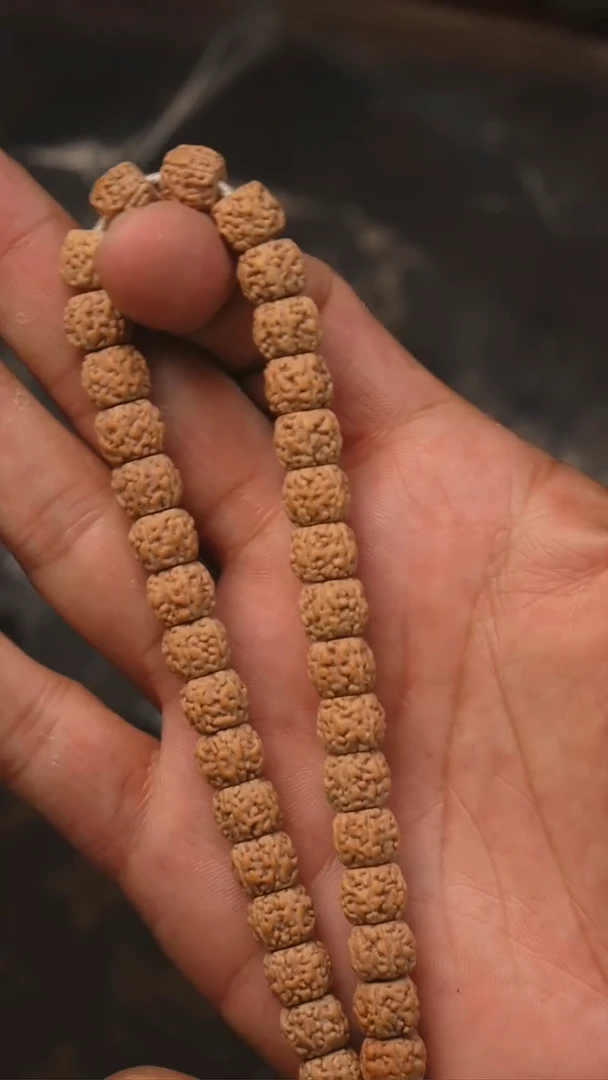 手串金刚菩提S02纯血一代龙一等