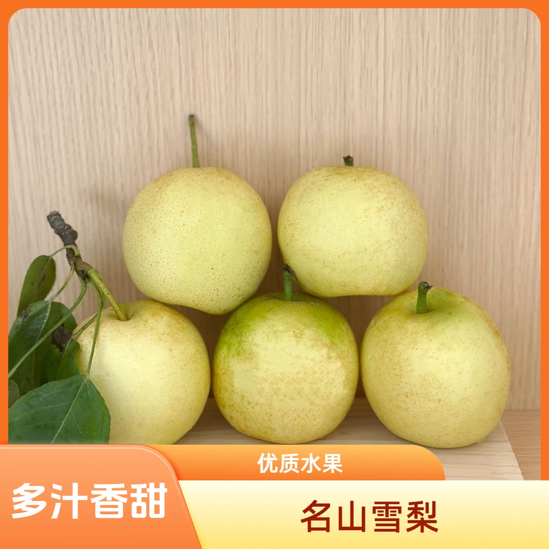 【邮政推荐】四川雪梨特产新鲜多汁果园直发当季水果现摘现发鲜甜