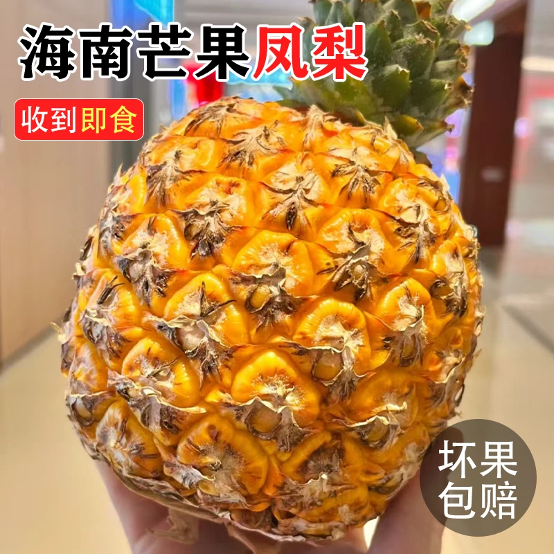 【海南直发】芒果凤梨台农23号芒果凤梨新鲜脆甜多汁芒果香凤梨甜
