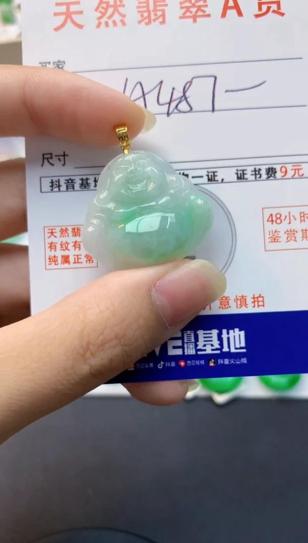 颈饰未镶嵌翡翠天然缅甸A货翡翠