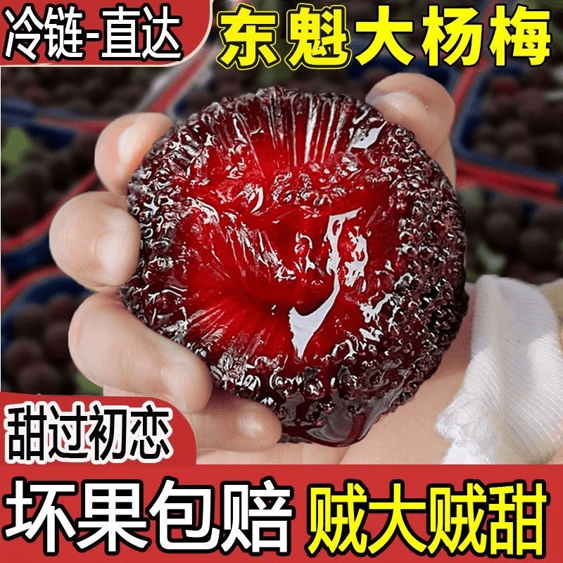 【9A中大果】整箱10斤净重6斤正宗仙居高山东魁杨梅顺丰次日达杨梅同城送浙江省