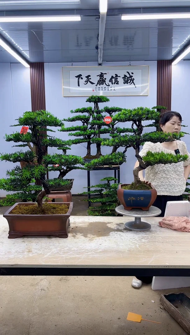 无花朵一物一拍，所见所得