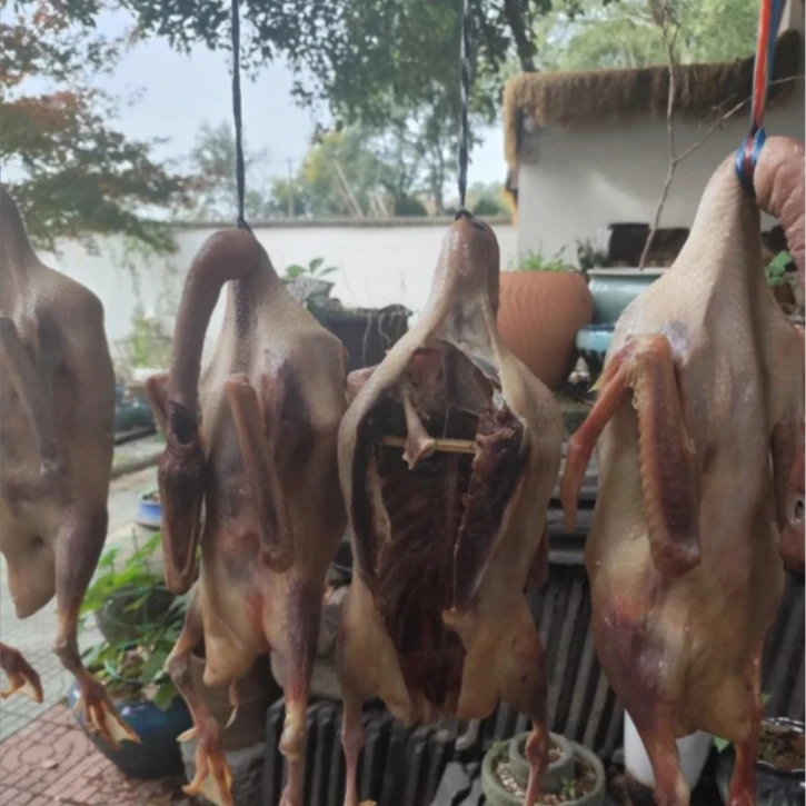 【两年老鹅】皖南农家细腿食草大鹅老鹅农家腌制食用