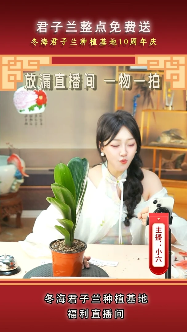 当前无花朵，栽培后可花朵用****0君子兰