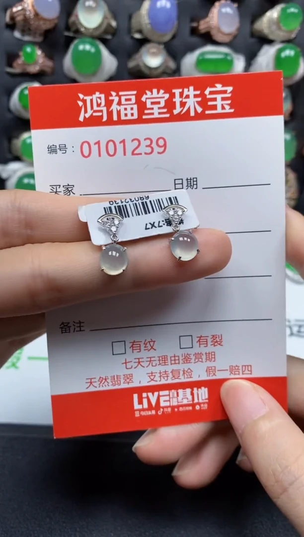 银S925镶嵌翡翠耳饰1239