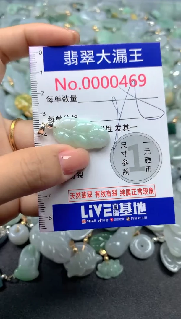颈饰未镶嵌翡翠469
