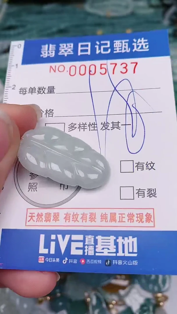 【闪购商品】翡翠颈饰未镶嵌00005737