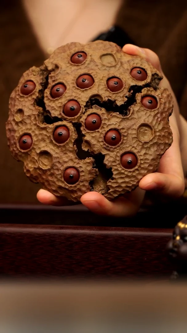 茶壶紫砂莲生万象（手工莲蓬） 默认x1