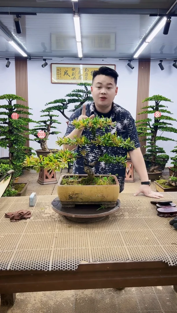 无花朵一物一拍，所见即所得