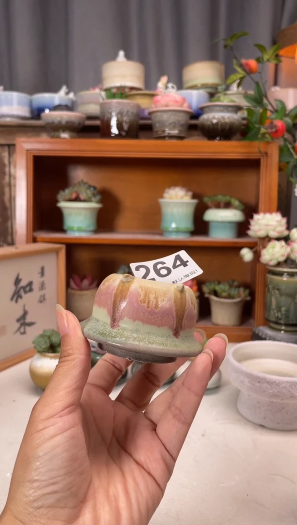 瓷片264知木小芳花盆