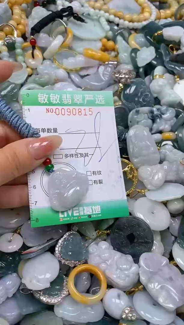 【闪购商品】翡翠颈饰未镶嵌闪购0090815